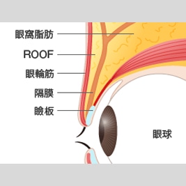 美容整形講座