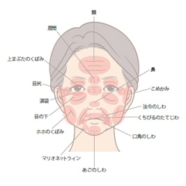 美容整形講座