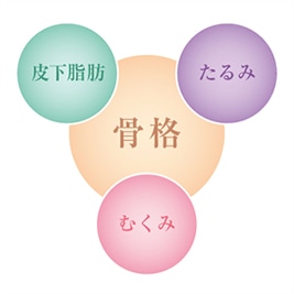 二重あごを治すには？脂肪吸引？？小顔専用脂肪溶解注射メソシェイプフェイス？二重あごの改善法について