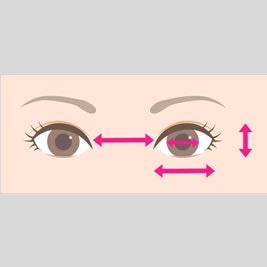 理想的な目と目の間隔、比率は？目の横幅、縦幅は？黒目の大きさ、見える面積の割合は？