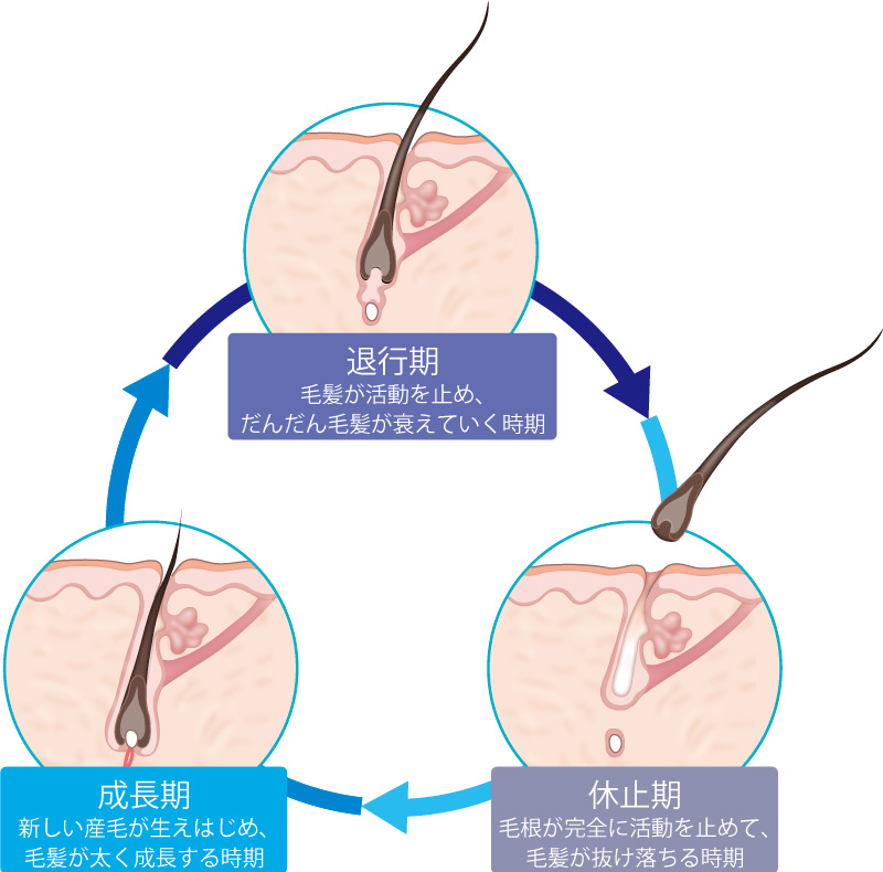 脱毛 高感度upは 医療脱毛で 男性整形特集 美容外科 高須クリニック