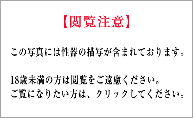 【閲覧注意】この写真には性器の描写が含まれております。18未満の方は閲覧をご遠慮ください。ご覧になりたい方は、クリックしてください。