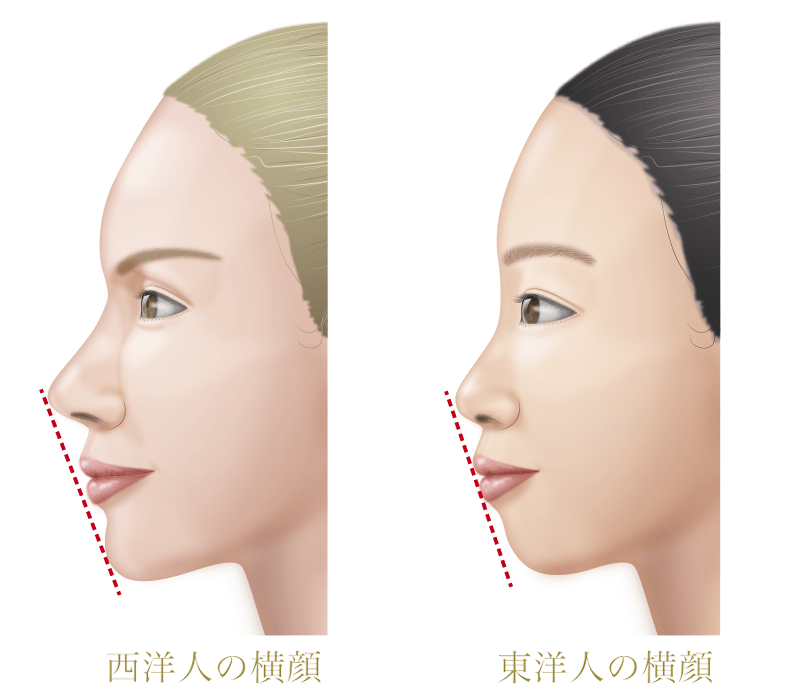 東洋 人 と は Article